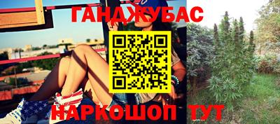 бошки Тверь