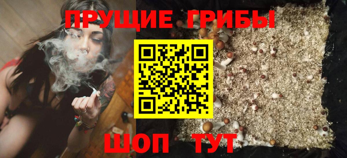 Псилоцибиновые грибы MAGIC MUSHROOMS Семёнов